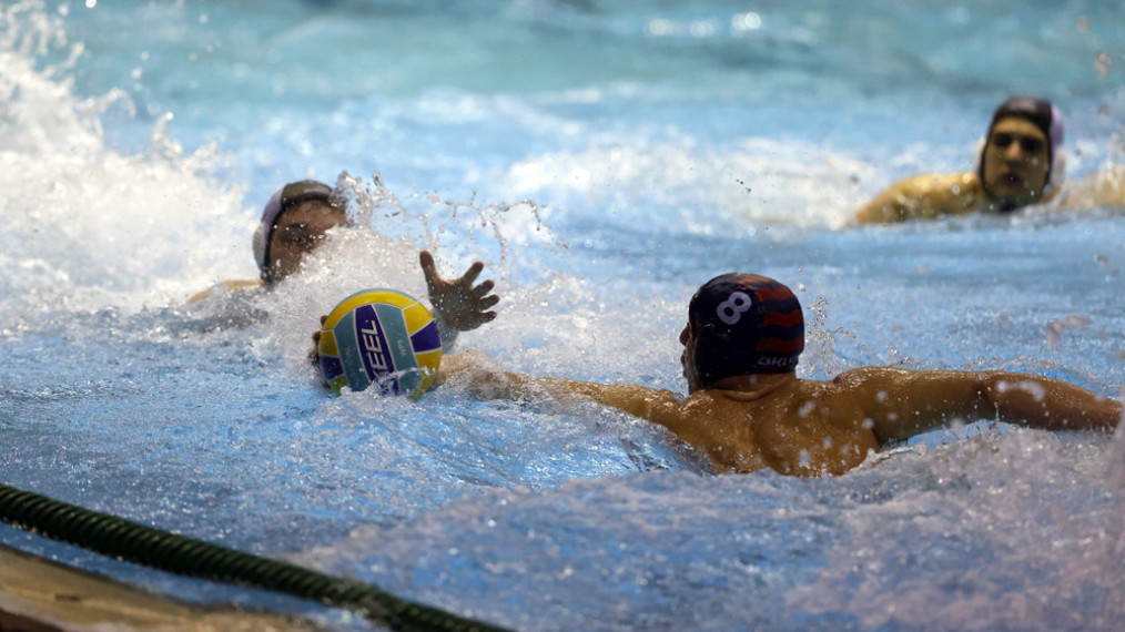 ФОТО: С. Сандић