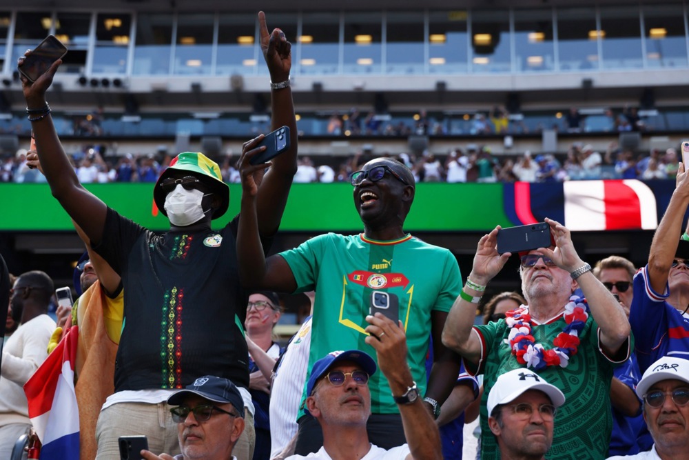 14073641.jpg