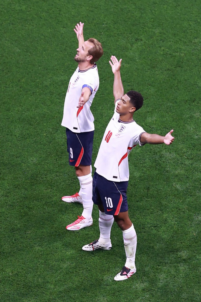 14127703.jpg
