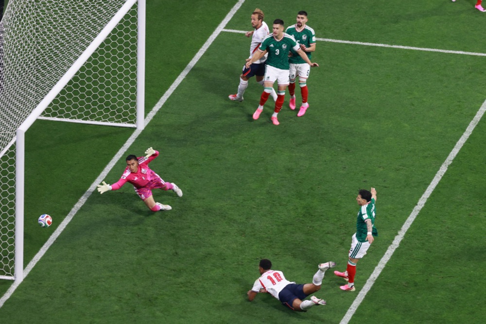 14127707.jpg