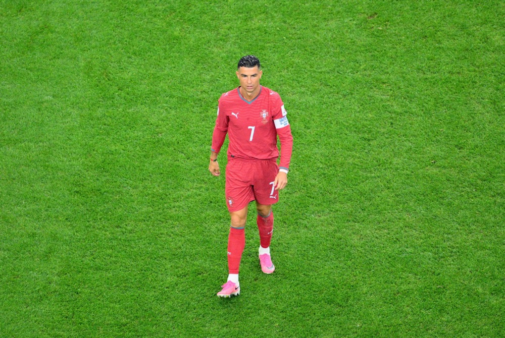 14130490.jpg