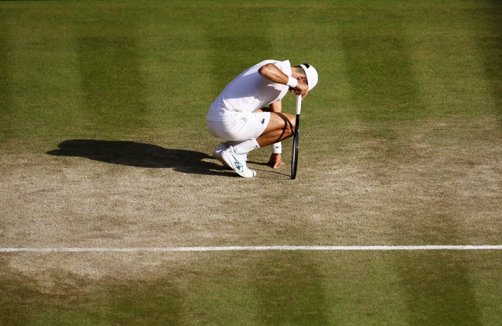 14134045.jpg