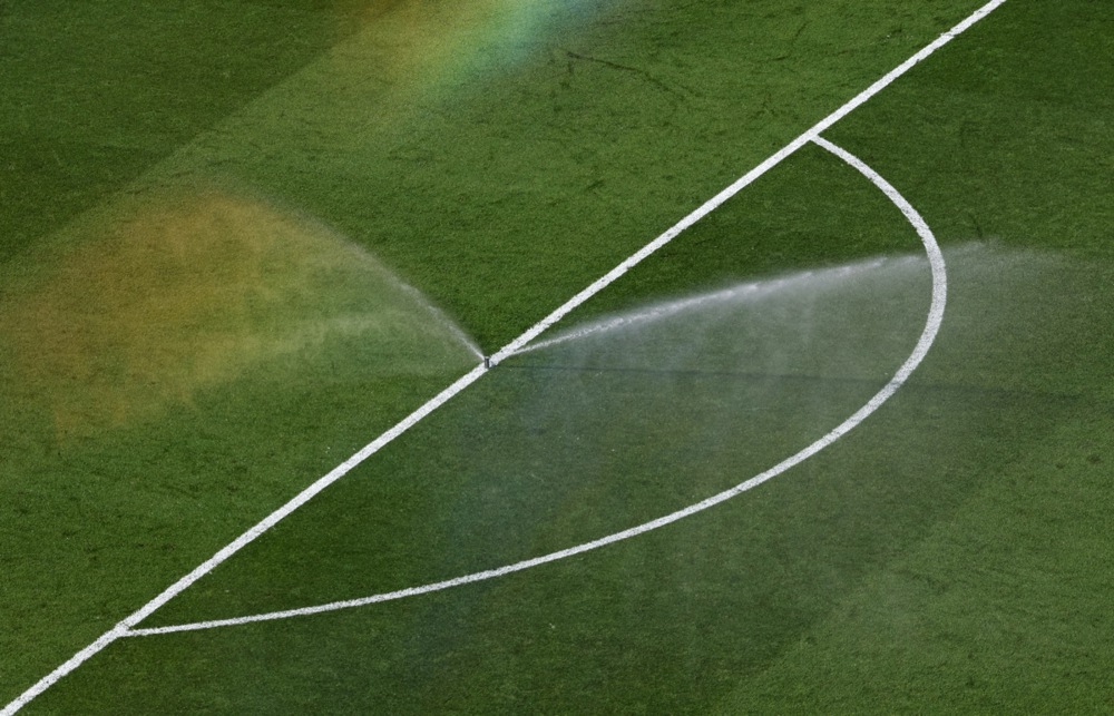 14139656.jpg