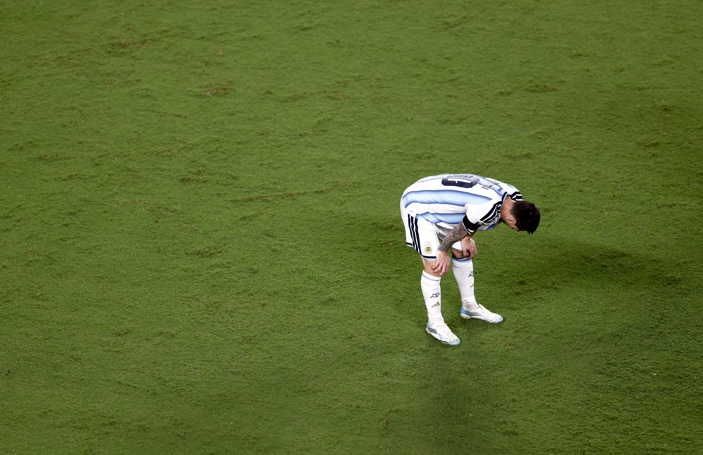 14145173.jpg