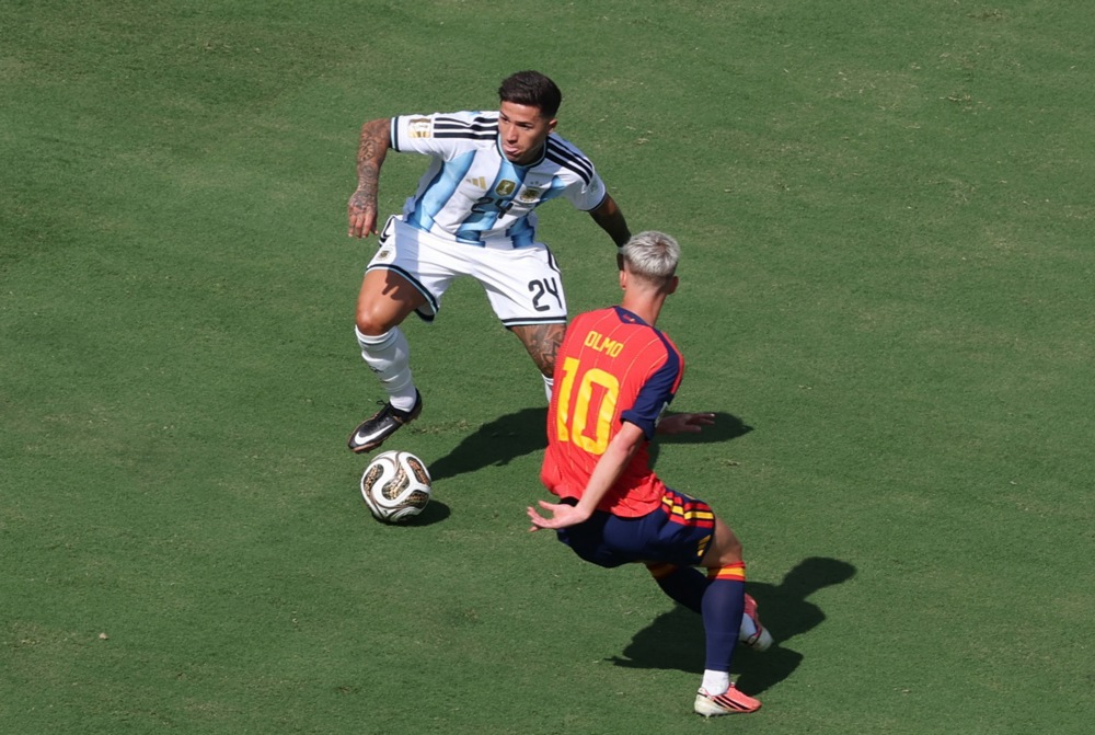 14161526.jpg