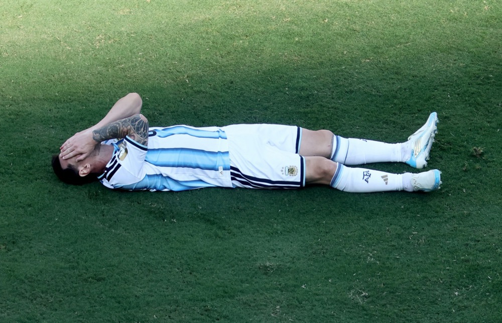 14161644.jpg