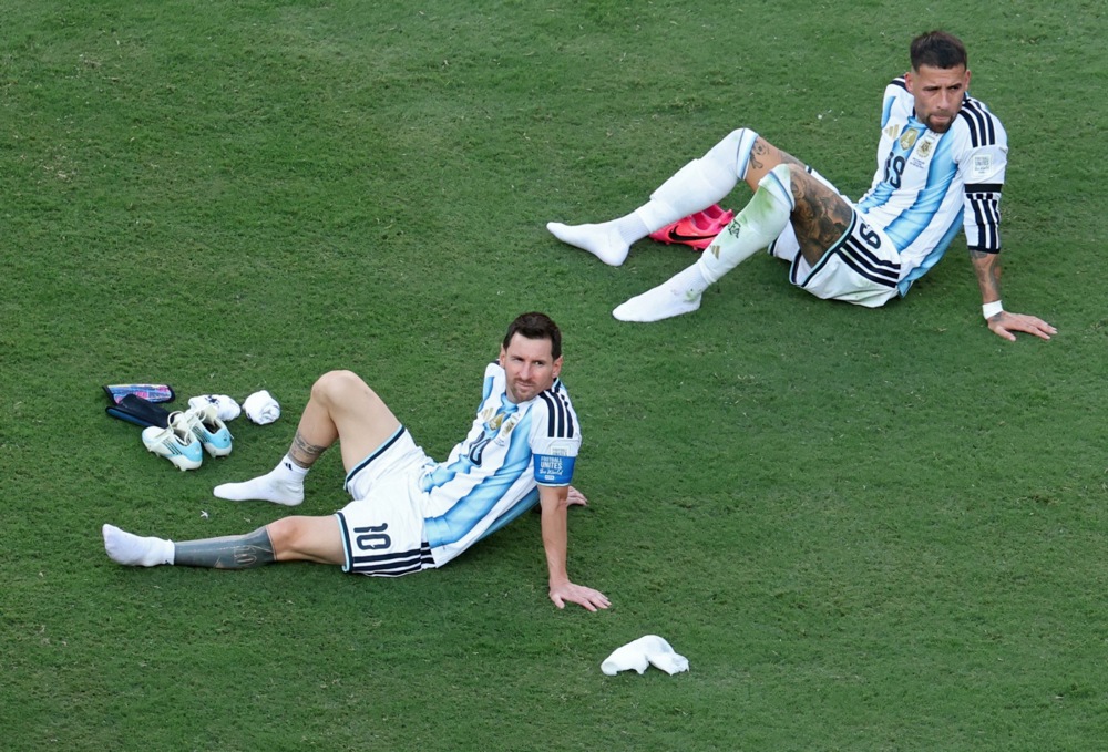 14161894.jpg